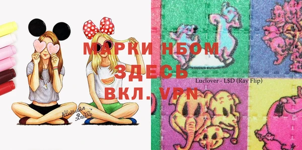 кокс Алексин