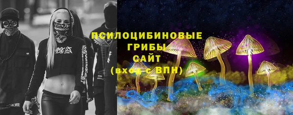 кокс Алексин