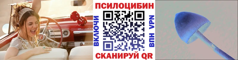 где купить   Ейск  Галлюциногенные грибы прущие грибы 