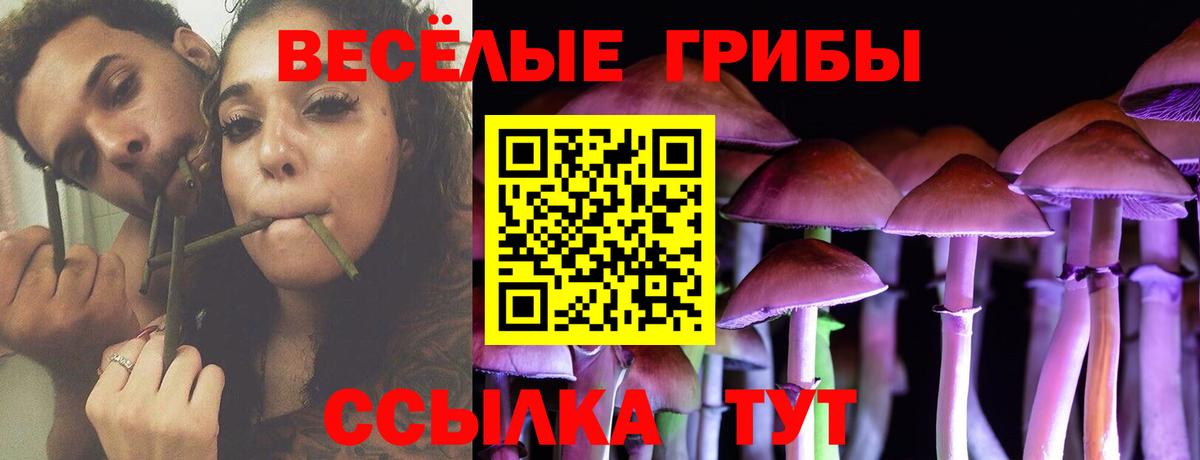 Галлюциногенные грибы мухоморы Ейск